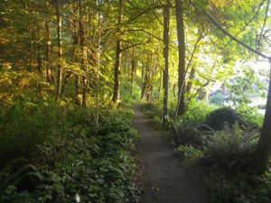 10525935_10101999789892045_7925778334025994278_n