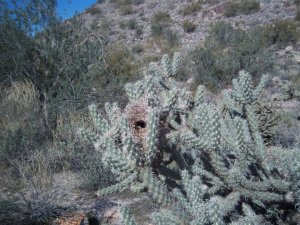 169063_867763577895_2505162_n