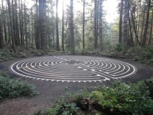 486443_10101096791328405_1102373657_n