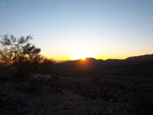 180772_870187250835_5659079_n