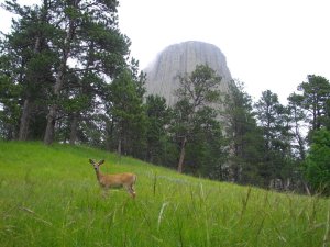 35124_786598164035_850645_n