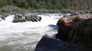 Rainie Falls on the Rogue River. The Middle Chute is on the left. The
