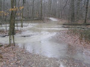 A valley filled with water