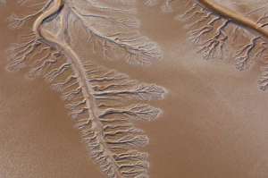 Colorado River Delta (source: USGS)