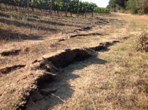 Photo of 2014 surface rupture from Mag. 6 Earthquake in Napa, CA (U.S.G.S)