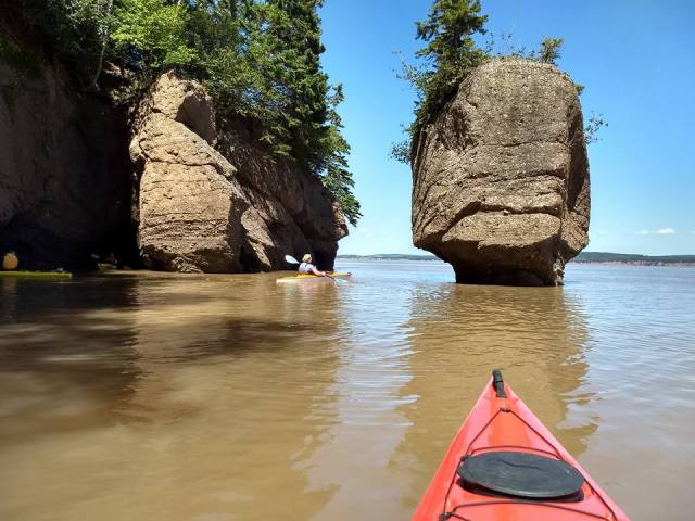 20374455_10104464349759315_7744203675167671909_n