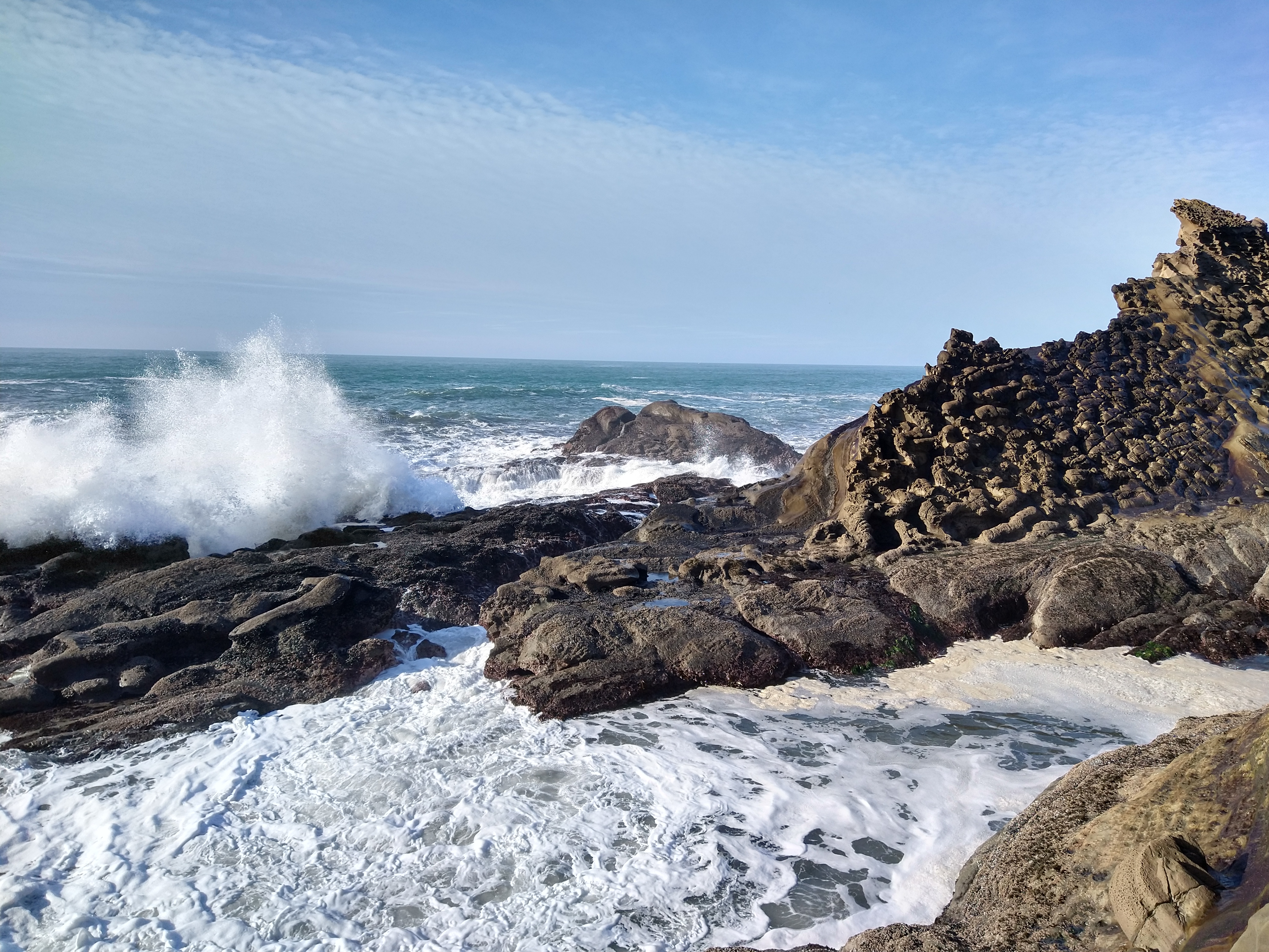 IMG_20210109_134625060_HDR